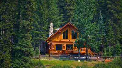 Log Home Chinking Solutions — cost of